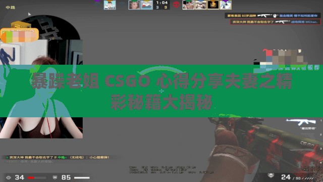 暴躁老姐 CSGO 心得分享夫妻之精彩秘籍大揭秘