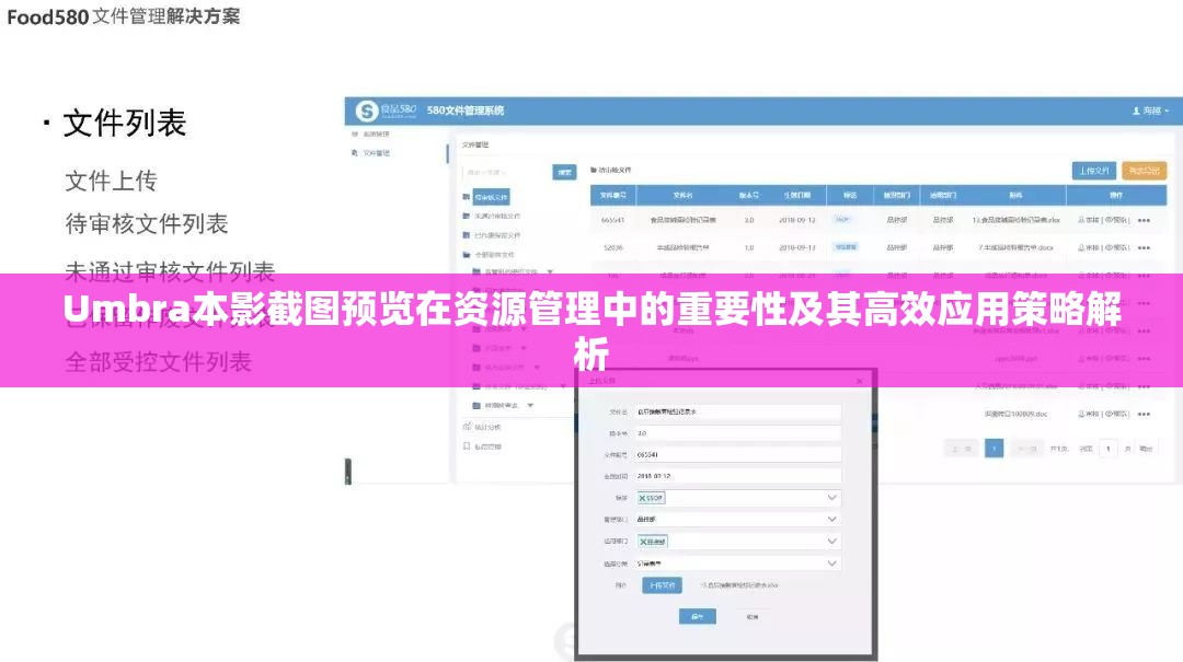 Umbra本影截图预览在资源管理中的重要性及其高效应用策略解析