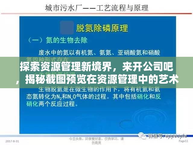 探索资源管理新境界，来开公司吧，揭秘截图预览在资源管理中的艺术运用