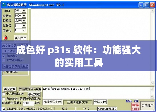 成色好 p31s 软件：功能强大的实用工具