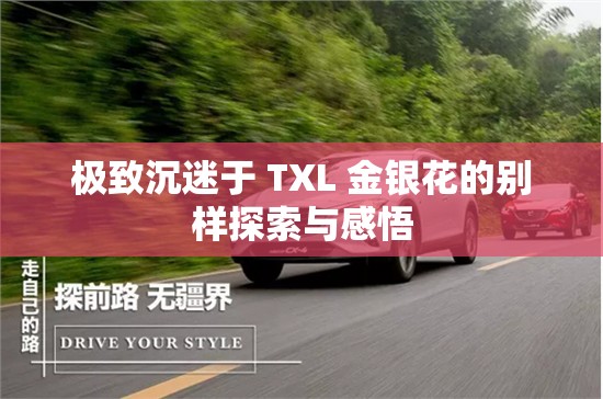 极致沉迷于 TXL 金银花的别样探索与感悟