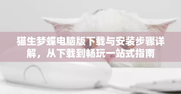 猫生梦蝶电脑版下载与安装步骤详解，从下载到畅玩一站式指南