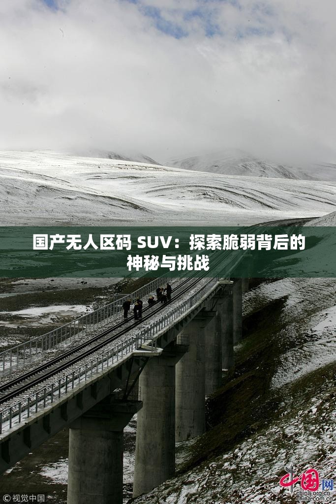 国产无人区码 SUV：探索脆弱背后的神秘与挑战