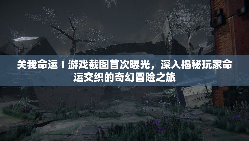 关我命运Ⅰ游戏截图首次曝光，深入揭秘玩家命运交织的奇幻冒险之旅