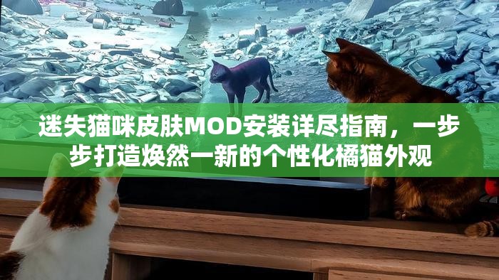 迷失猫咪皮肤MOD安装详尽指南，一步步打造焕然一新的个性化橘猫外观