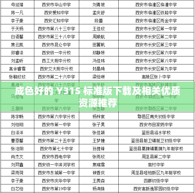 成色好的 Y31S 标准版下载及相关优质资源推荐