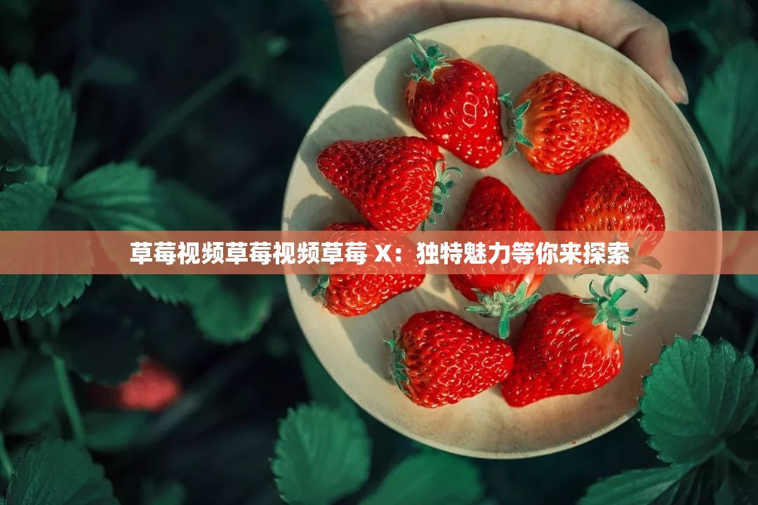 草莓视频草莓视频草莓 X：独特魅力等你来探索