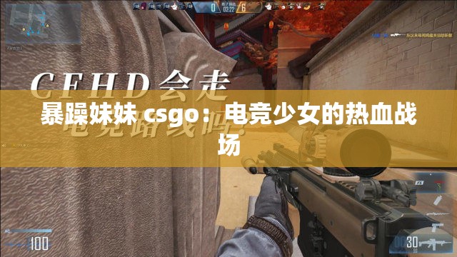 暴躁妹妹 csgo：电竞少女的热血战场