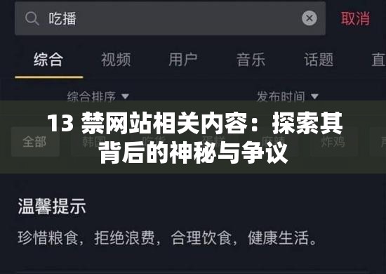 13 禁网站相关内容：探索其背后的神秘与争议