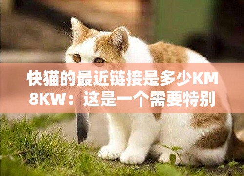 快猫的最近链接是多少KM8KW：这是一个需要特别注意的信息