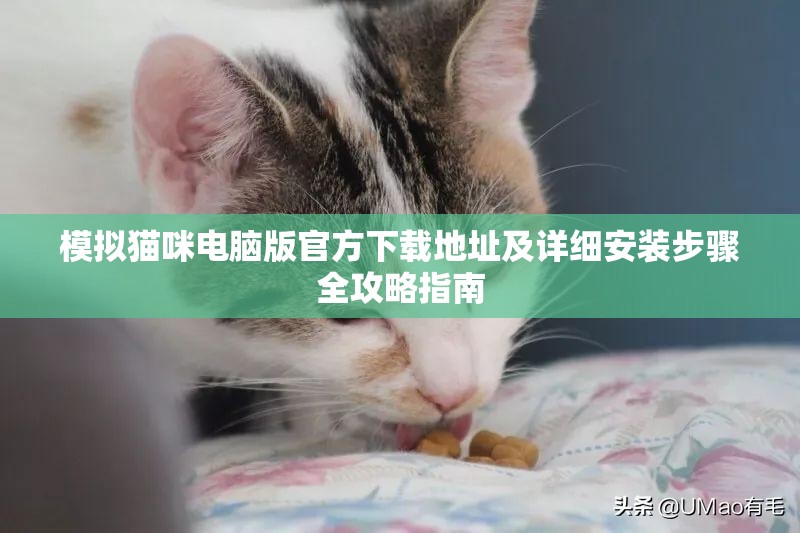 模拟猫咪电脑版官方下载地址及详细安装步骤全攻略指南