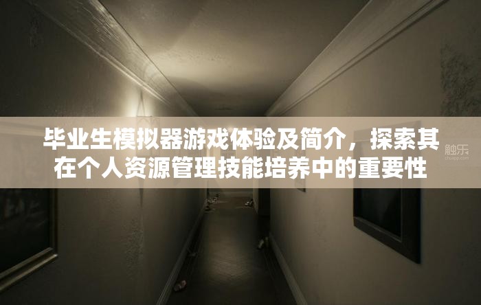 毕业生模拟器游戏体验及简介，探索其在个人资源管理技能培养中的重要性