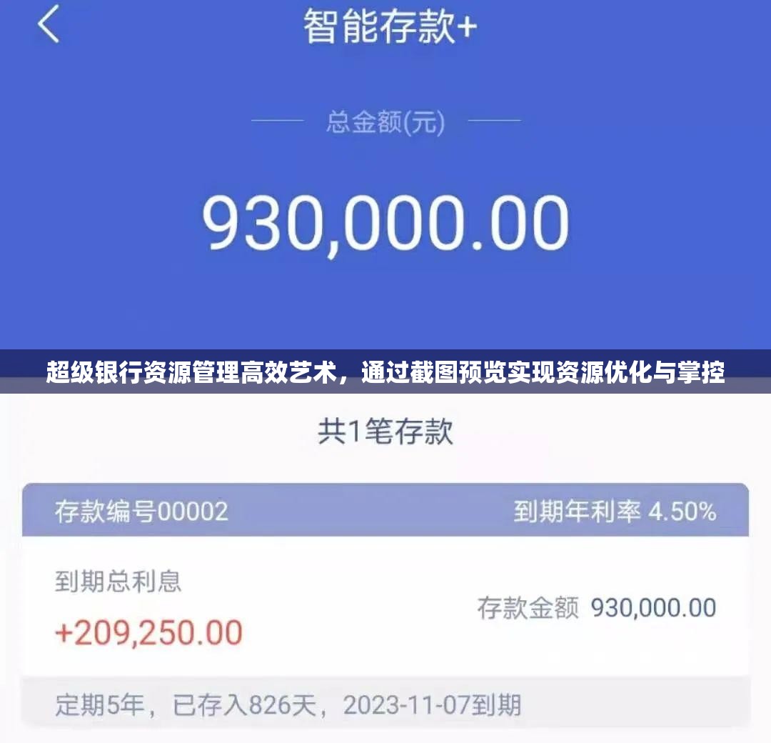 超级银行资源管理高效艺术，通过截图预览实现资源优化与掌控