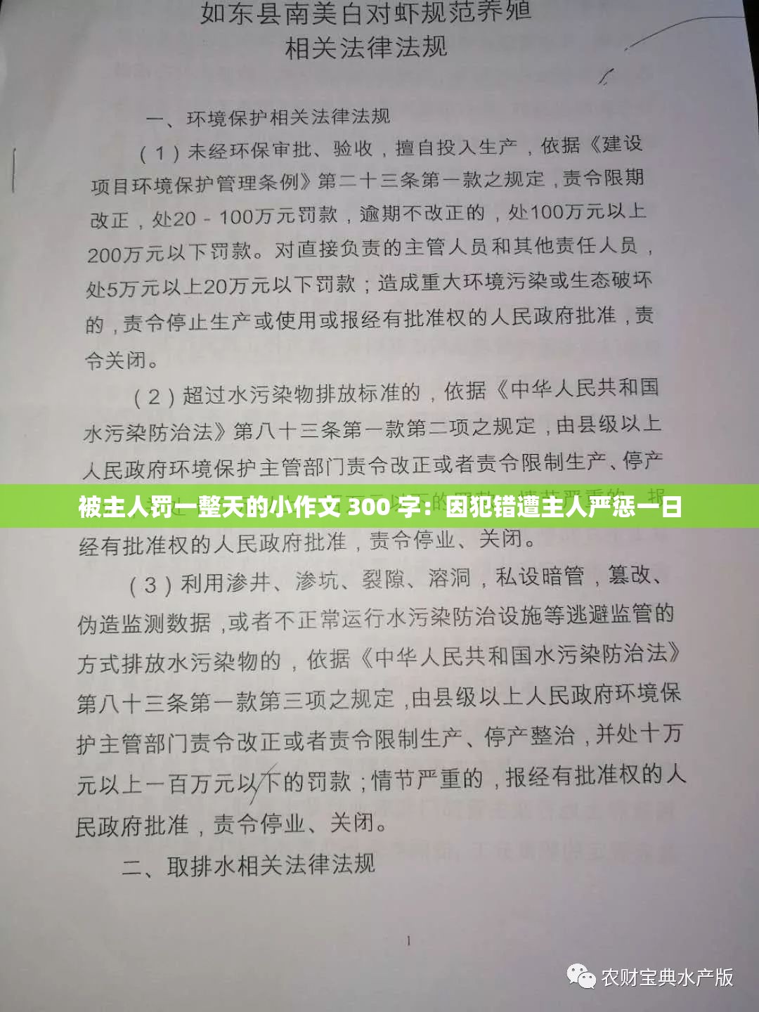 被主人罚一整天的小作文 300 字：因犯错遭主人严惩一日