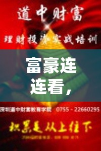 富豪连连看，深度剖析成功背后的财富积累与智慧碰撞双重盛宴