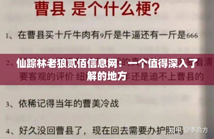 仙踪林老狼贰佰信息网：一个值得深入了解的地方