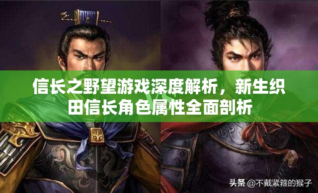 信长之野望游戏深度解析，新生织田信长角色属性全面剖析