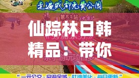 仙踪林日韩精品：带你领略独特的日韩风情文化魅力