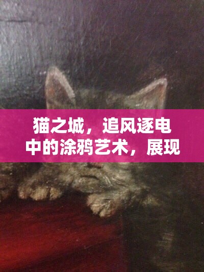 猫之城，追风逐电中的涂鸦艺术，展现独特速度与激情的视觉盛宴