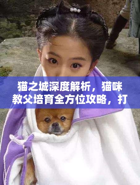 猫之城深度解析，猫咪教父培育全方位攻略，打造你的个性化专属萌宠之旅