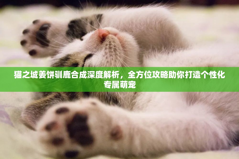 猫之城姜饼驯鹿合成深度解析，全方位攻略助你打造个性化专属萌宠