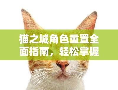 猫之城角色重置全面指南，轻松掌握重置技巧，重塑你的战斗策略与新篇章