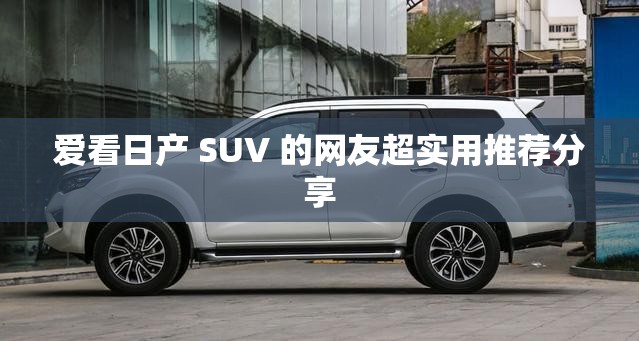 爱看日产 SUV 的网友超实用推荐分享