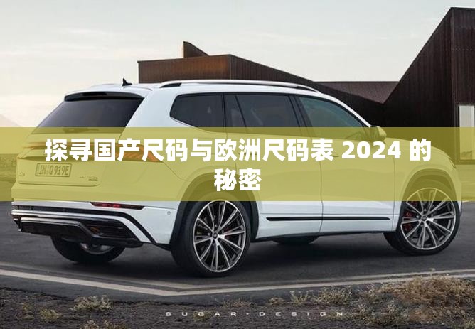 探寻国产尺码与欧洲尺码表 2024 的秘密