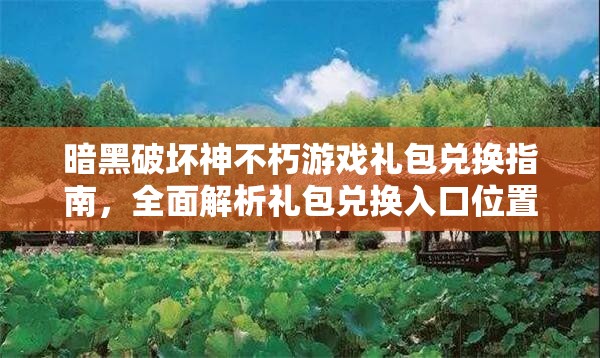 暗黑破坏神不朽游戏礼包兑换指南，全面解析礼包兑换入口位置