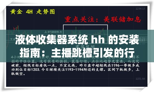 液体收集器系统 hh 的安装指南：主播跳槽引发的行业震动