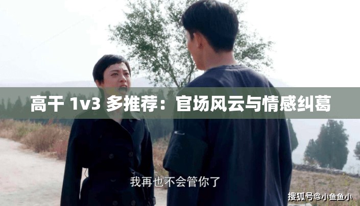 高干 1v3 多推荐：官场风云与情感纠葛