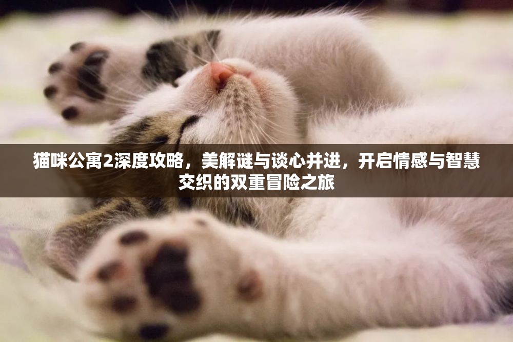 猫咪公寓2深度攻略，美解谜与谈心并进，开启情感与智慧交织的双重冒险之旅