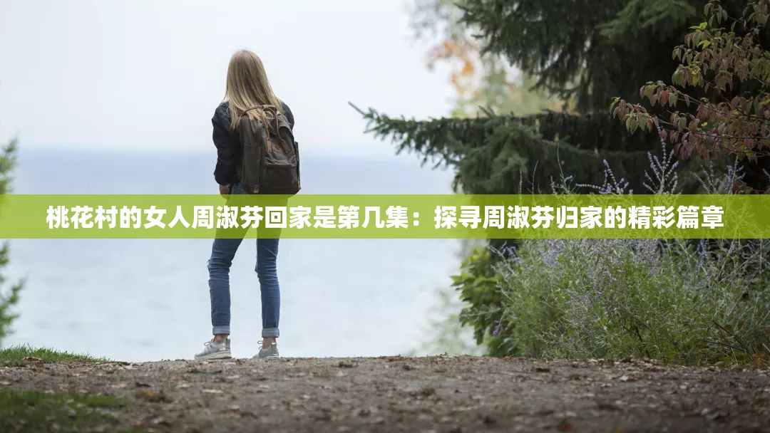 桃花村的女人周淑芬回家是第几集：探寻周淑芬归家的精彩篇章