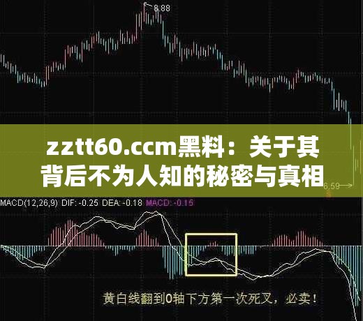 zztt60.ccm黑料：关于其背后不为人知的秘密与真相