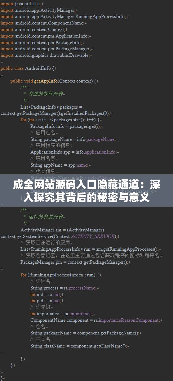 成全网站源码入口隐藏通道：深入探究其背后的秘密与意义