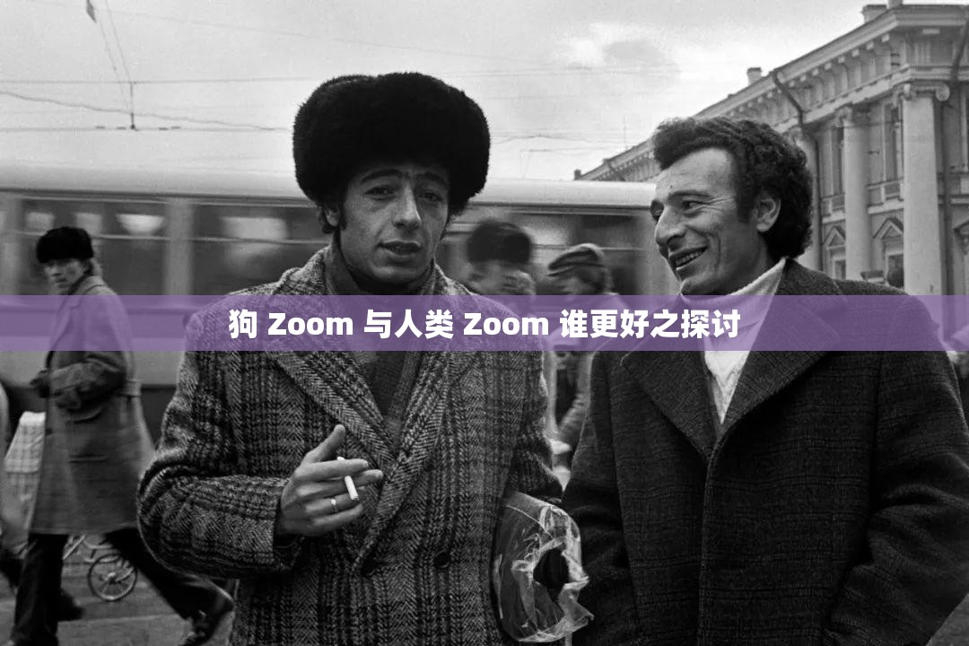 狗 Zoom 与人类 Zoom 谁更好之探讨