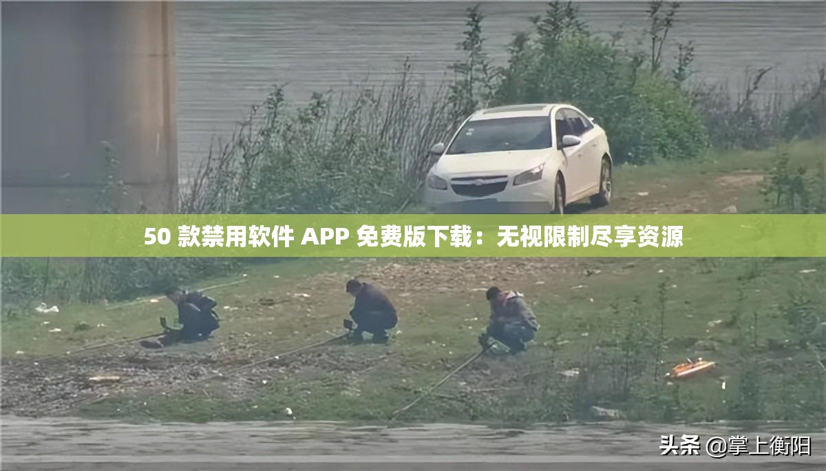 50 款禁用软件 APP 免费版下载：无视限制尽享资源