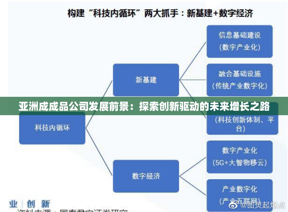 亚洲成成品公司发展前景：探索创新驱动的未来增长之路