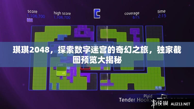 琪琪2048，探索数字迷宫的奇幻之旅，独家截图预览大揭秘