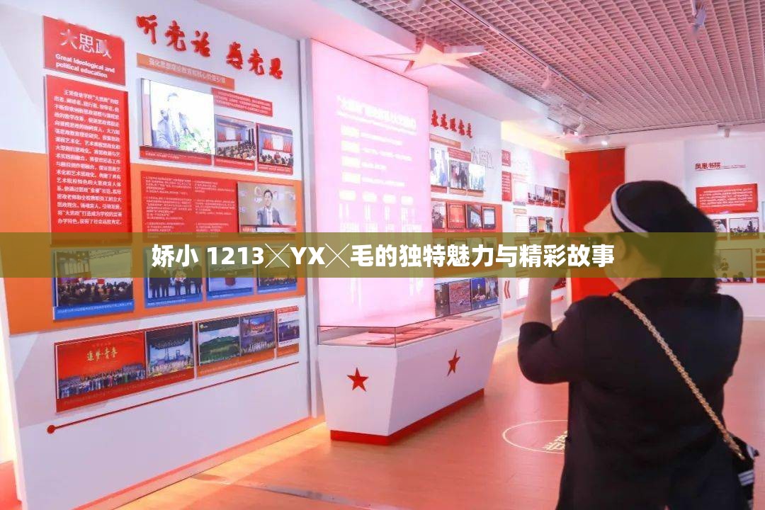 娇小 1213╳YX╳毛的独特魅力与精彩故事