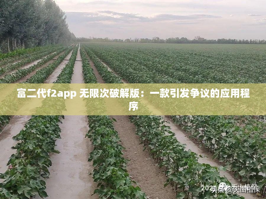 富二代f2app 无限次破解版：一款引发争议的应用程序