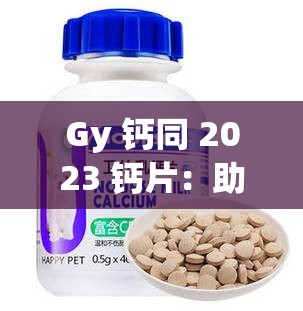 Gy 钙同 2023 钙片：助力健康骨骼的优质选择