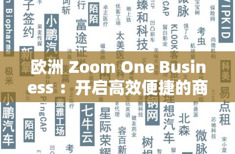 欧洲 Zoom One Business ：开启高效便捷的商务之旅