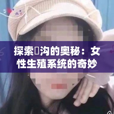 探索屄沟的奥秘：女性生殖系统的奇妙之处