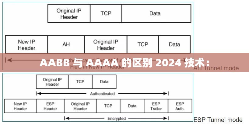 AABB 与 AAAA 的区别 2024 技术：