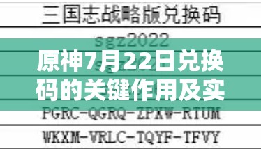 原神7月22日兑换码的关键作用及实施高效管理与利用策略