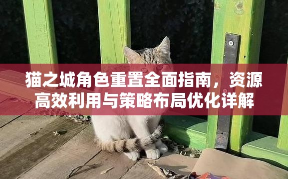 猫之城角色重置全面指南，资源高效利用与策略布局优化详解