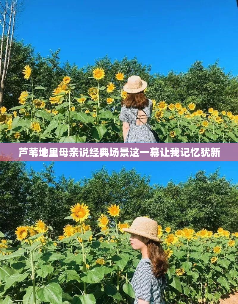 芦苇地里母亲说经典场景这一幕让我记忆犹新