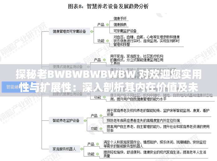 探秘老BWBWBWBWBW 对欢迎您实用性与扩展性：深入剖析其内在价值及未来发展潜力