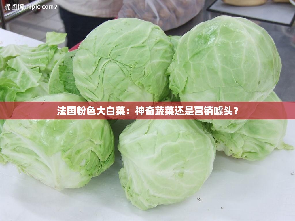 法国粉色大白菜：神奇蔬菜还是营销噱头？